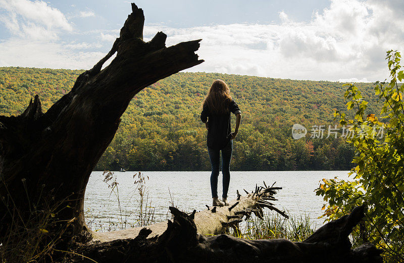 在波科诺斯的Mauch Chunk湖上，一名少女走在倒下的树上